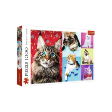 Trefl 1000 db-os puzzle - Boldog macskák (10591) puzzle, kirakós