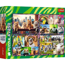 Trefl 4 x 250 db-os Puzzle - Mókás állatok (13313) (13313 TR) puzzle, kirakós