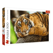 Trefl Premium Quality 500 db-os puzzle - Tigris portré puzzle, kirakós