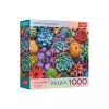 Trefl : Színpompás pozsgások 1000 darabos puzzle