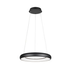 Trio Cardona fekete LED függesztett lámpa (TRI-349616032) LED 1 izzós IP20 világítás