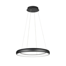 Trio Cardona fekete LED függesztett lámpa (TRI-349617532) LED 1 izzós IP20 világítás