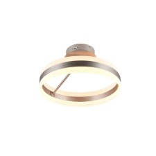 Trio Dios matt nikkel LED mennyezeti lámpa (TRI-631410107) LED 1 izzós IP20 világítás