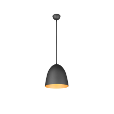 Trio TILDA R30661080 függeszték, 1x40W E27 világítás