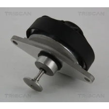 TRISCAN AGR-szelep 8813 24202 autóalkatrész