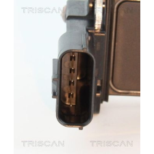 TRISCAN AGR-szelep TRISCAN 8813 16036 autóalkatrész