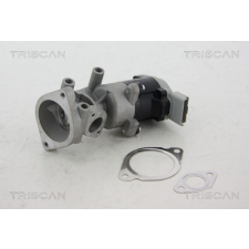 TRISCAN AGR-szelep TRISCAN 8813 29007 autóalkatrész