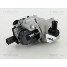 TRISCAN AGR-szelep TRISCAN 8813 29022 autóalkatrész