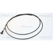 TRISCAN szivató csappantyú, porlasztó TRISCAN 8140 91003 autóalkatrész