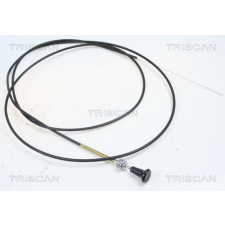 TRISCAN szivató csappantyú, porlasztó TRISCAN 8140 91004 autóalkatrész