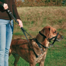 Trixie 13004 top trainer 31cm nyakörv, póráz, hám kutyáknak