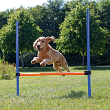 Trixie Agility Fun & Sport ugróakadály kutyáknak Trixie 129*115*3cm 3207 kutyafelszerelés