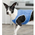 Trixie Cooling Vest - hütőmellény (kék) kutyák részére (XS) 20cm