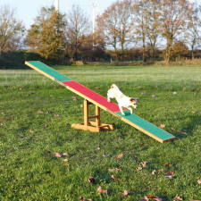 Trixie Dog Activity Agility Seesaw hinta, 300×54×34 cm játék kutyáknak