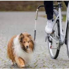 Trixie Dog Biker Kit - kiegészítő felszerelés (kutyák részére) kerékpárhoz (S-M) nyakörv, póráz, hám kutyáknak