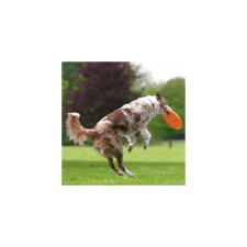 Trixie Dog Disc - robosztus játék (frizbi) kutyák részére (Ø23cm) játék kutyáknak