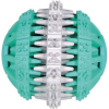 Trixie Játék Denta Fun Labda Mentás 6cm (4011905329413)