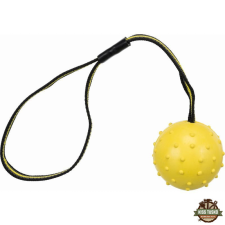 Trixie Játék Sporting Labda Pánton 6cm/35cm játék kutyáknak