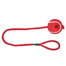 Trixie zsinóros teniszlabda kutyáknak - 50 cm / 6 cm játék kutyáknak