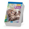  TRÖTSCH - Abreißkalender Katzen 2027 – Trötsch Verlag GmbH & Co.KG (Naptár)