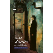 Troubadour Books Kft. Amerika - Az elkallódott fiú regény