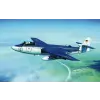  Trumpeter Seahawk MK.100/101 1:48 (02827)
