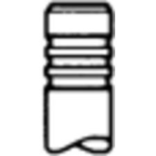TRW Engine Component Szívószelep TRW Engine Component 331123 autóalkatrész