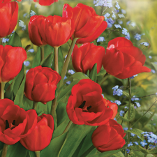  Tulipán Bunch szalvéta 20 db-os 33x33 cm party kellék