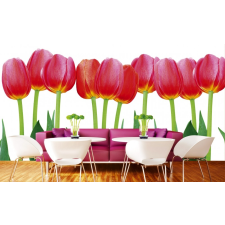 Tulipánszálak, poszter tapéta 375*250 cm tapéta, díszléc és más dekoráció