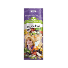 Tündérkert aszalt ananász cukrozott - 100g reform élelmiszer