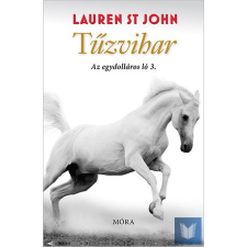  Tűzvihar - Az egydolláros ló 3. gyermek- és ifjúsági könyv