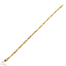 Újvilág Kollekció Arany karlánc 20 cm - X3STB14853 karkötő