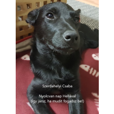 UNDERGROUND Nyolcvan nap Hellával egyéb e-könyv