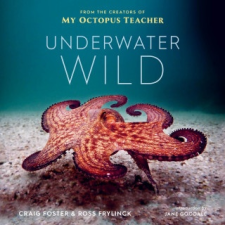  Underwater Wild – Ross Frylinck,Jane Goodall idegen nyelvű könyv