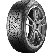 Uniroyal WinterExpert 215/50 R17 95V Téli gumi téli gumiabroncs