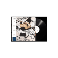 Universal Music Chet Faker - A Love For Strangers (Vinyl LP (nagylemez)) alternatív