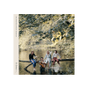 Universal Paul McCartney & Wings - Wild Life (Limited Edition) (CD + DVD)