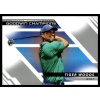 Upper Deck 2022-23 Upper Deck Goodwin Champions #75 Tiger Woods