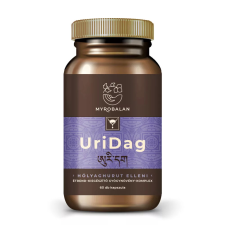  URIDAG hólyaghurut és húgyúti fertőzések elleni gyógynövény-komplex 60 db kapszula vitamin és táplálékkiegészítő