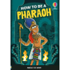 Usborne Publishing Ltd How to be a Pharaoh | Ian Mcnee