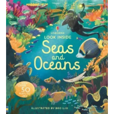 Usborne Publishing Ltd Look Inside Seas and Oceans | NOT KNOWN egyéb könyv