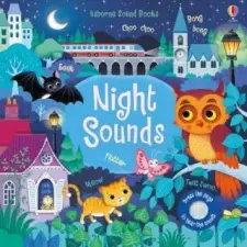 Usborne Publishing Ltd Night Sounds | Sam Taplin egyéb könyv