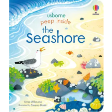 Usborne Publishing Ltd Peep Inside the Seashore | ROSIE DICKENS egyéb könyv