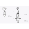 V PARTS H1 izzók 12V 55W V PARTS Elektronika Világítások Izzók 12V-os izzók