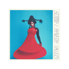  Vagabon - Sorry I Haven't Called (Vinyl LP (nagylemez)) alternatív