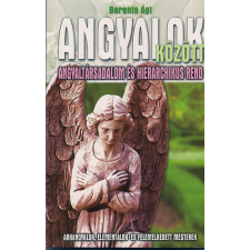 Vagabund Kiadó Angyalok között (Angyaltársadalom és hierarchikus rend) antikvárium - használt könyv