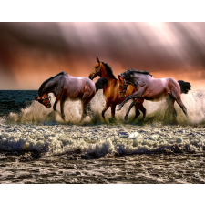  Vágtató barna lovak tapéta, 300 x 250 cm tapéta, díszléc és más dekoráció