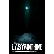 Valko Game Studios Labyrinthine (PC - Steam elektronikus játék licensz) videójáték