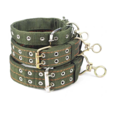  Vastagított kiképző nyakörv-5cm - Zöld nyakörv, póráz, hám kutyáknak