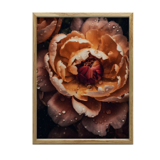  VÁSZNAK FESTMÉNY NARANCS BARBAZÓA KERET NÉLKÜL 70x100 CM PREMIUM grafika, keretezett kép